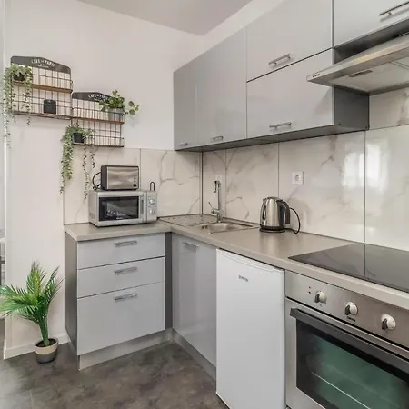 Apartamento Pet Friendly In With Kitchen